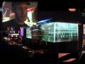 videos de GaiaNova & The Royal Festival Hall Overture Weekend