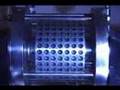 SPR Cavitation