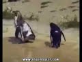 Funny clips - Penguin on drugs
