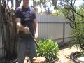 Valiant Castile Sword Flex Test Valiant Castile Sword Flex Test
