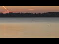 Sam Rayburn Lake 1