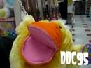 Quack Quack