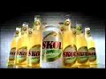 skol lemon garrafada nas ideias