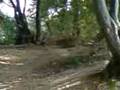 bmx in mg 13