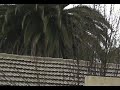 La lluvia nos permite contar historia, contar cuentos, leer a nuestros hijos, sobrinos, cambia la cocina, cambia nuestra vestimenta, todo cambia y los cambios siempre es para mejor para todos. La lluvia tiene historia y todos tenemos que contar una pequeña historia y cual es la tuya, la mía es. Siempre los día de lluvia, este llega con mi cumpleaños y junto a mi Padre, Hermana, era levantarnos a la hora que fuera e ir al borde costero a ver la marejada, seguido de esto ir a comprar pan amasado, mantequilla, leche. La mama este día de lluvia nos tenia una rico Consomé de ave con pancutras, Charquicán con huevo frito y la hora de la tarde aquí en Chile entre las 17 y las 19 hrs se sirve una once o colación, de Té con Leche, Sopaipillas, Picarones, Calzones Rotos. En la Noche Sopaipillas pasadas. La gracia de la Sopaipillas era que todos en casa éramos ayudante de cocina. Hermoso recuerdo Familiar y el Tuyo cual es. ?