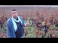 Uvas de Eckelsheim