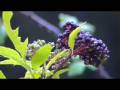 Los Valles trailer 90