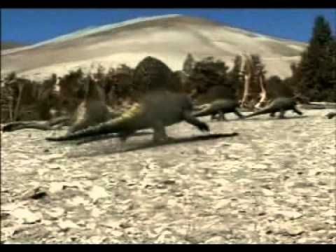 Comportamiento del Dimetrodon cazando