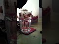 Click here to watch this video CUTE KITTY PLAYING WITH BLUEBERRY