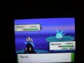 Shiny Pokemon #5 Corsola Shiny Pokemon #5 Corsola