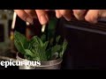 How to Make a Mint Julep Cocktail How to Make a Mint Julep Cocktail