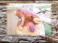 Tasmanian Log Carving Final Tasmanian Log Carving Final