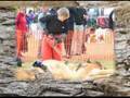 Tasmanian Log Carving Final
