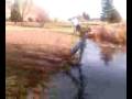 videos de stupid shit 2