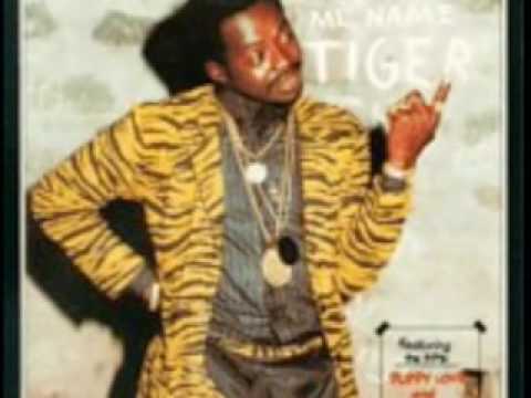 zebra vs tiger reggae jamaica