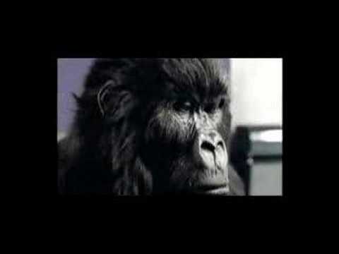 Cadburys Dairy Milk Advert with a twist