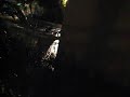 Barbados at Night - You need to get used to this if you need sleep!