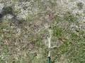 Gravelly Grass 1
