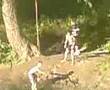 Kids On A Swing!