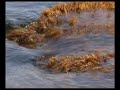 Il mare degli Jatini - Isola delle Femmine & Sferracavallo Il mare degli Jatini - Isola delle Femmine & Sferracavallo