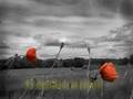 videos de Mago a Ascensão