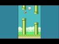 Feb 05, 2015: flappy bird