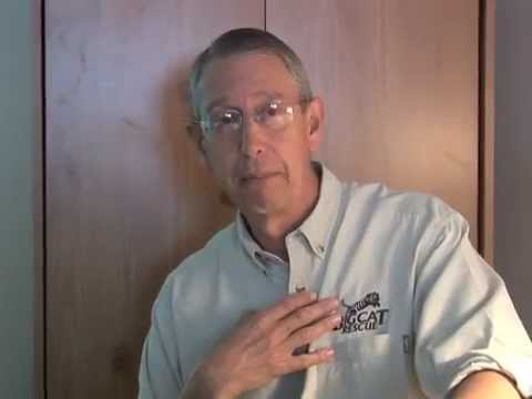 Howard Baskin - Running a Non Profit Like a For Profit by Howard Baskin.