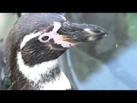 how to become zookeeper