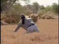 Idiot vs Lion