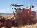 Zmaj 780 in action (barley harvest)