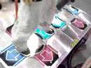 DDR in ToysRus DDR in ToysRus