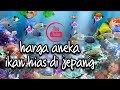 Ikan Hias Putih Dari Jepang