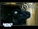 BARRIO TV INTERNET OVEJAS NEGRAS FT PROMETEUS