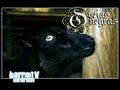BARRIO TV INTERNET OVEJAS NEGRAS FT PROMETEUS
