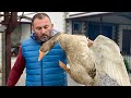 https://www.youtube.com/watch?v=UD-Qu0cVxKg