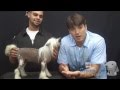 Groom Tv Br - Manutenção do Cão de Crista Chinês - Johnatan Skolimoski - HD #47