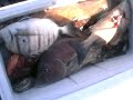 PESCA SUBMARINA EN EL ESTRECHO