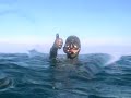 PESCA SUBMARINA EN EL ESTRECHO