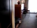 South Africa - my room (Park Hyatt hotel)