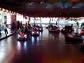 Bee Bop - Drive Ahrend