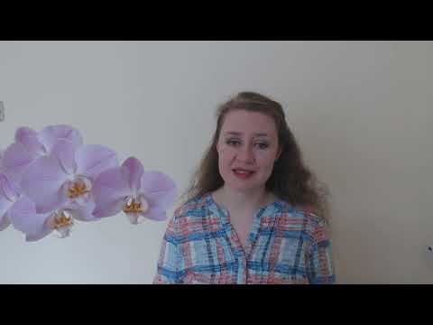 video-show