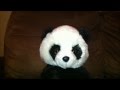 Rodd Le Panda - Résolutions 2012