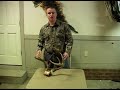 How to Hunt Deer : How to Score Deer Antlers for Hunting