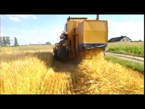 Bizon - Pierwsze próby bizona w nowym sezonie 2014 23.06.2014r. Jakośc marna ponieważ nagrywane telefonem Nokia 500. Oglądaj do końca ;)