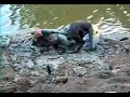 Mississippi River Mud Part 1