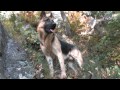 Vtáčnik: Lezenie na Hrádku - Extreme Climbing - foto 3