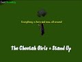 [RSMV] The Cheetah Girls - Stand Up