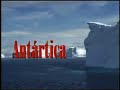 Sailing Cape Horn to watch birds in Antartica