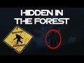 The WarZ BigFoot Yeti Sasquatch - HIDDEN IN THE FOREST [HD TRAILER]