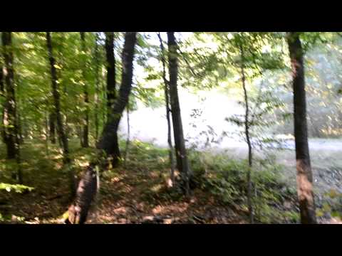 Latest WRC HD & Rally HD Videos